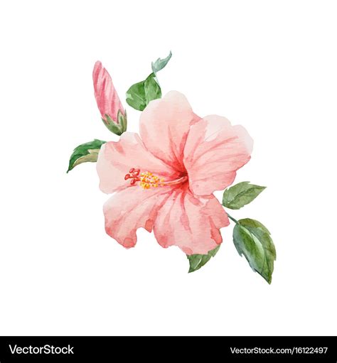 Watercolor Hawaiian Flowers | Best Flower Site