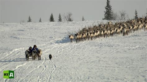 Nomadic Nenets children at a city boarding school miss the freedom of ...