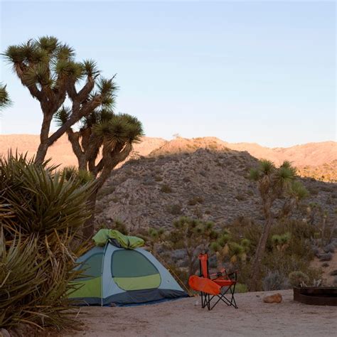 Campgrounds - Joshua Tree National Park (U.S. National Park Service)