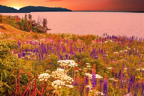 Yellowstone Spring | Yellowstone National Park, Wyoming, USA… | Flickr