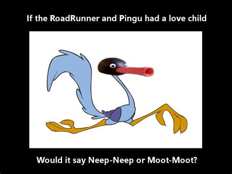 Road Runner and Pingu genetics... : r/memes