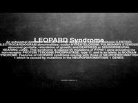 11 Leopard Syndrome ideas | stenosis, syndrome, conduction