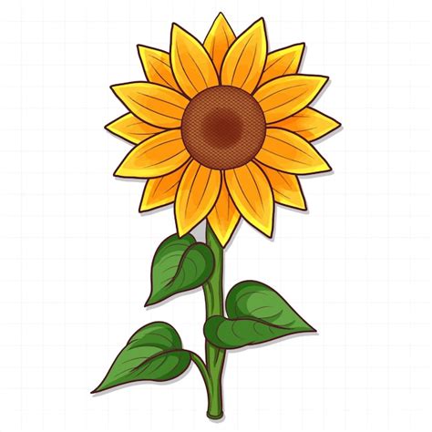 Girasol dibujado a mano | Vector Premium