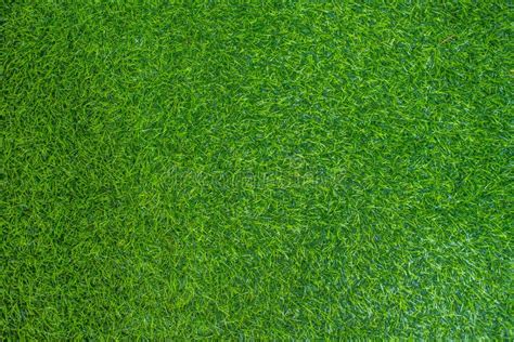 Artificial Green Grass Floor Texture Stock Image - Image of carpet ...