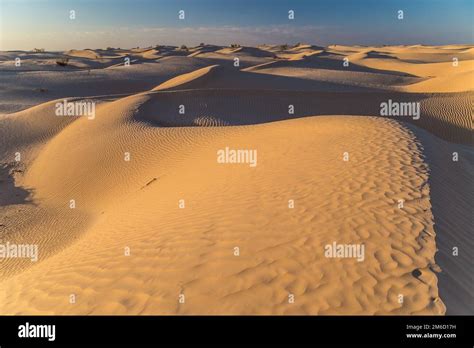 Sahara desert at sunset Stock Photo - Alamy