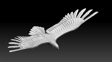 Eagle Model - TurboSquid 1901433