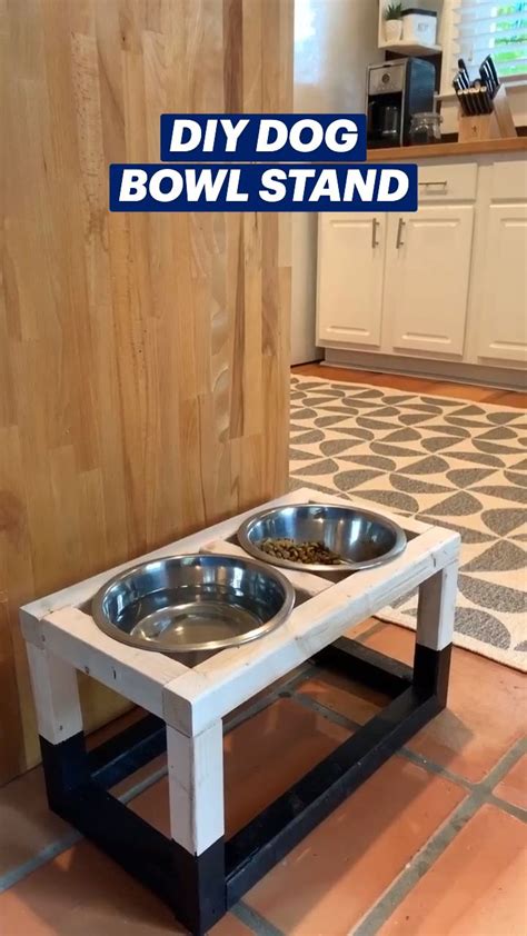 DIY DOG BOWL STAND | Diy dog stuff, Dog house diy, Dog bowls