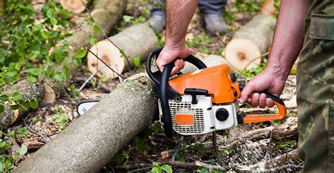 8 Essential Tree Cutting Tools | DSI Contractors