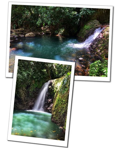 Your Ultimate Guide to the 7 Best Waterfalls in Grenada - Sue Where Why ...