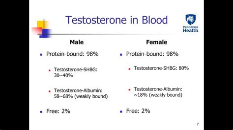 Yusheng Zhu -Testosterone Testing Total, Free, and Bioavailable - YouTube