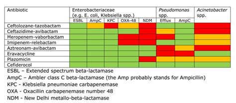 Antibiotic Spectrum Chart - Phartoonz