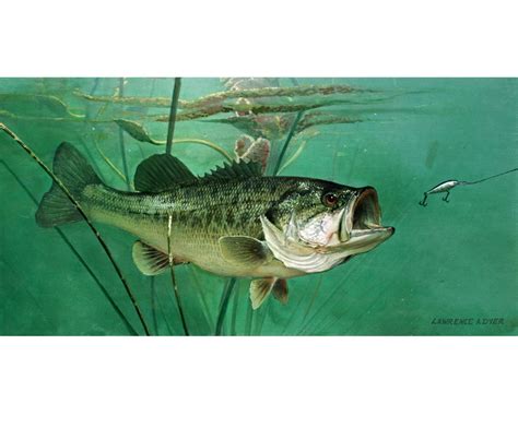 Largemouth Bass Giclee Art Print Canvas from original painting | Etsy #excitementofbassfishing ...