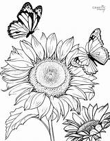 Free Printable Sunflower Coloring Pages sketch template