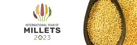 International Year of Millets 2023 — Vikaspedia