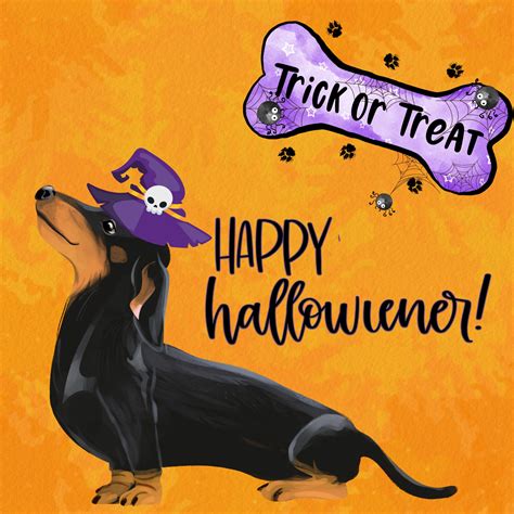 Halloween Dachshund Dog Free Stock Photo - Public Domain Pictures