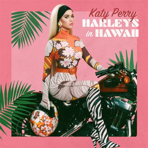 Katy Perry - Harleys In Hawaii (2019, File) | Discogs