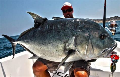 How To Catch Fish | Giant Trevally | Get Fishing