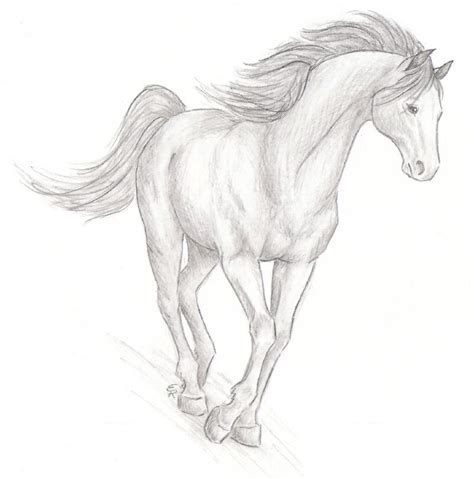 Realistic Horse Sketch by WildSpiritWolf on deviantART | Zeichnungen ...