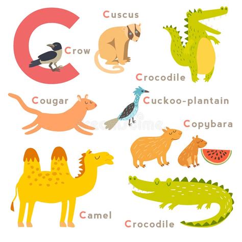 Animales De La Letra De C Fijados Alfabeto Inglés Ilustración Del Vector Ilustración del Vector ...