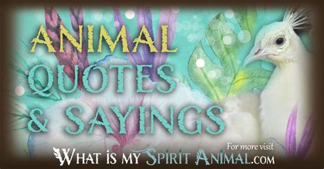 Animal Quotes & Animal Sayings - What Is My Spirit Animal | Spirit ...