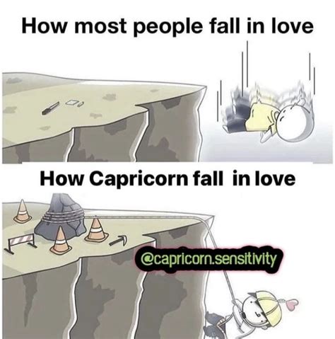 28 Funny and Relatable Capricorn Memes | So Syncd