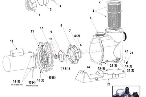 Above Ground Pool Pump Parts | Reviewmotors.co