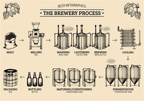 Beer Brewing Process : Step by Step Guide - Stouts and Porters | Beer brewing process, Beer ...