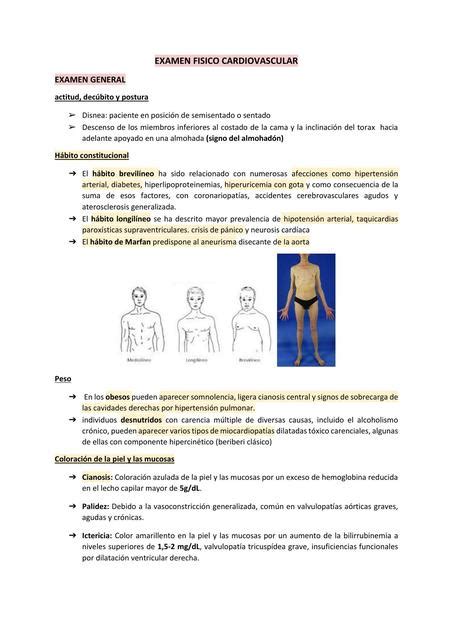 Examen físico cardiovascular | Andrea Narvaez | uDocz