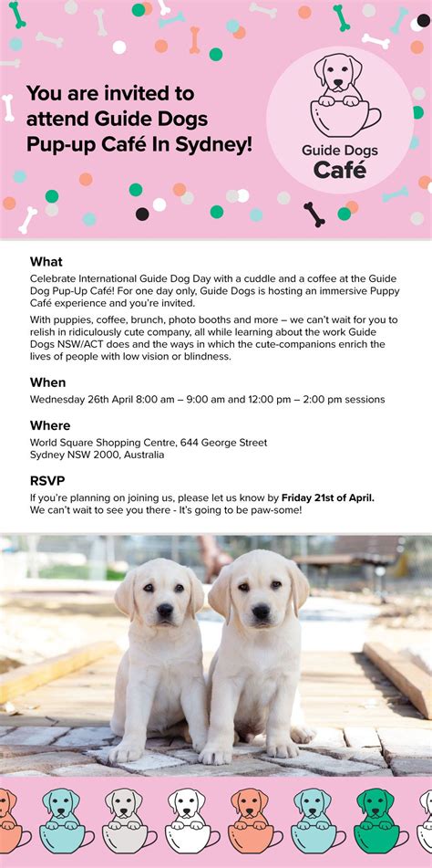 Dogs Day Out, Dog Cafe, Guide Dog, You Are Invited, Dog Friends, Photo ...