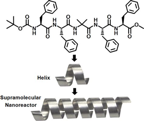 Scheme 1. Schematic Presentation of Pentapeptide Boc−... | Download Scientific Diagram