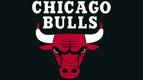 Chicago Bulls Logo machine embroidery design. 7 formats. | Etsy