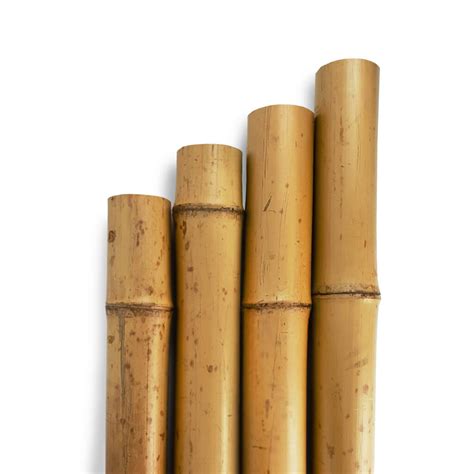 Our Bamboo Pole Range | UK Bamboo