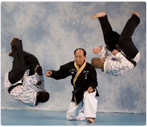 Jang Mu Won Hapkido | Korean martial arts, Hapkido, Martial arts training