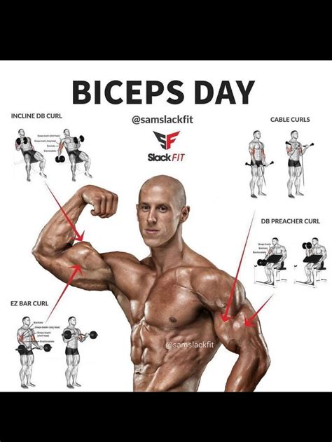 Pin by Eric Landry on Sport et Entrainement | Biceps workout, Workout ...