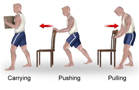 Posture and Body Mechanics