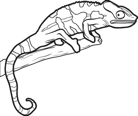 Geico Gecko Drawing | Free download on ClipArtMag