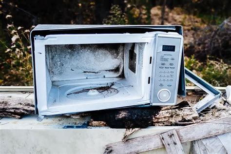 Can a Microwave Explode? (A Word Of Caution) - The Healthy Apron