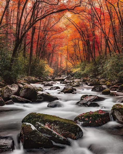 Fall at Great Smoky Mountains National Park : r/MostBeautiful