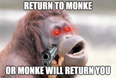 Monkey OOH Memes - Imgflip