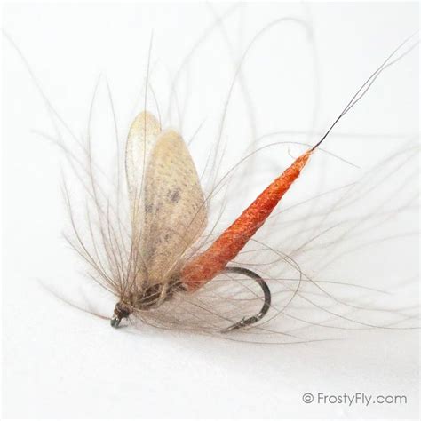 Mayfly - The Life Cycle & How to Fish Mayfly Patterns - FrostyFly | Mayfly, Fly tying patterns ...