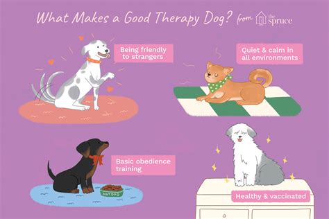 How to Train a Puppy to Be a Therapy Dog