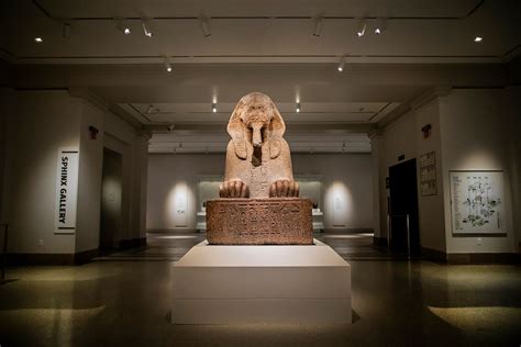 Opening new galleries and showcasing its sphinx, Penn Museum rebrands its image