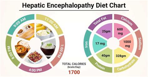 √ American College Gastroenterology Guidelines Hepatic Encephalopathy - Homeland