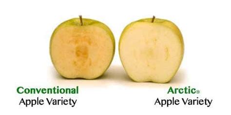 An Apple a Day Can’t Keep the GMO Debate Away