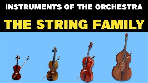 INSTRUMENT OF THE ORCHESTRA: THE STRING FAMILY - YouTube