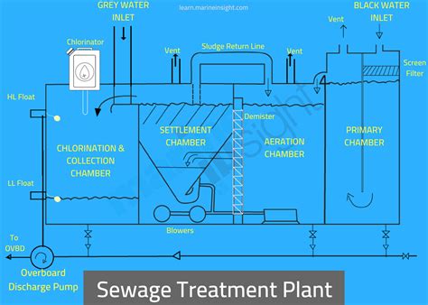 MARPOL ANNEX 4 Explained: How to Prevent Pollution from Sewage at Sea