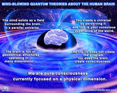 From the meeting of neurosciences and quantum physics, a new theory of consciousness emerges ...