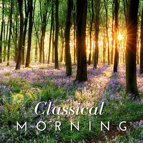 Classical Morning | Uplifting, Relaxing Classical Music - Halidon