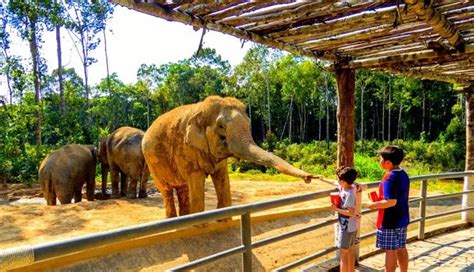 5 Best Zoo To Explore in India - lifeberrys.com