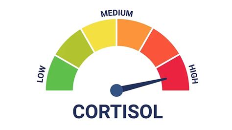 What Causes High Cortisol Levels? – NutritionFact.in